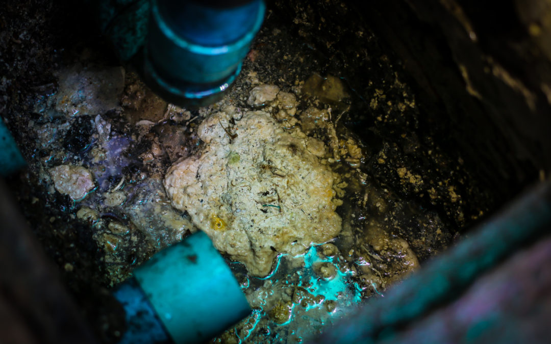 Causes of Sewer Backups and How to Fix Them